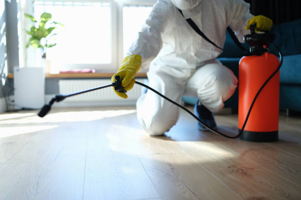 Reliable Odor Removal contractor in Edgerton, MN by Trauma Clean Pros